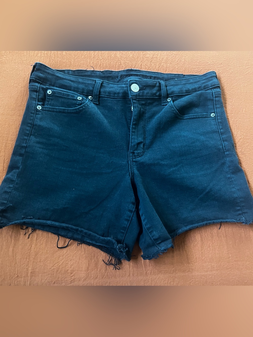 American Eagle Outfitters Black Denim Cutoff Shorts